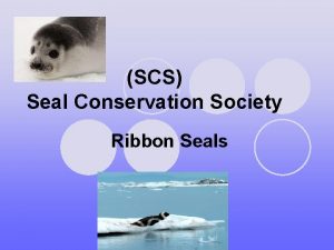 SCS Seal Conservation Society Ribbon Seals The SCSs