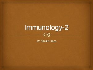 Immunology2 Dr Shoaib Raza B Cells B lymphocytes
