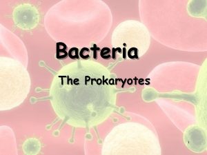 Bacteria The Prokaryotes 1 vacuole 2 3 Prokaryotes