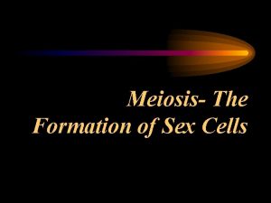Meiosis The Formation of Sex Cells I Introduction
