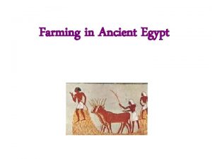 Farming in Ancient Egypt What crops did the