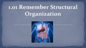 1 01 Remember Structural Organization 1 01 Remember