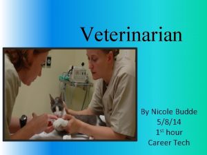 Veterinarian By Nicole Budde 5814 1 st hour