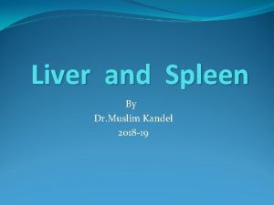 Liver and Spleen By Dr Muslim Kandel 2018