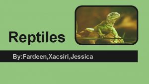 Reptiles By Fardeen Xacsiri Jessica Types of Reptiles