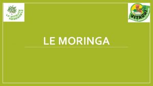 LE MORINGA La richesse exceptionnelle du moringa est