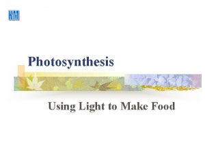 Photosynthesis Using Light to Make Food Photosynthesis H