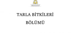 TARLA BTKLER BLM PERSONEL SAYISI Prof Dr Do