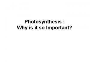 Photosynthesis Why is it so Important Photosynthesis 6