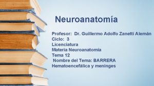 Neuroanatoma Profesor Dr Guillermo Adolfo Zanetti Alemn Ciclo