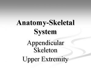 AnatomySkeletal System Appendicular Skeleton Upper Extremity AnatomySkeletal System