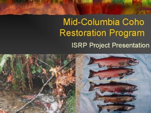 MidColumbia Coho Restoration Program ISRP Project Presentation Project