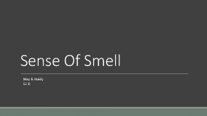 Sense Of Smell May Haidy 12 B Introduction