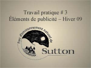 Travail pratique 3 lments de publicit Hiver 09