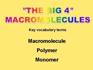 THE BIG 4 MACROMOLECULES Key vocabulary terms Macromolecule