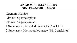 ANGIOSPERMAELERi N SINIFLANDIRILMASI Regnum Plantae Divisio Spermatophyta Classis