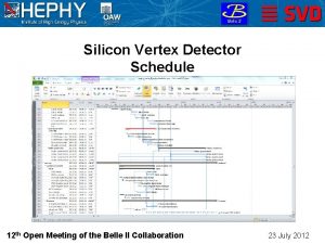 Silicon Vertex Detector Schedule Christian Irmler HEPHY Vienna