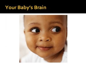 Your Babys Brain The Brain The most complex