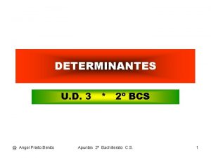 DETERMINANTES U D 3 2 BCS Angel Prieto