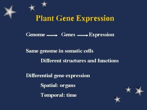 Plant Gene Expression Genome Genes Expression Same genome