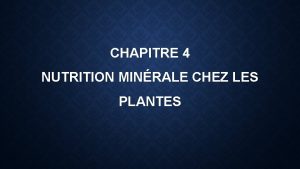 CHAPITRE 4 NUTRITION MINRALE CHEZ LES PLANTES Introduction