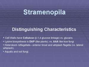 Stramenopila Distinguishing Characteristics Cell Walls have Cellulose 1