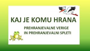 KAJ JE KOMU HRANA PREHRANJEVALNE VERIGE IN PREHRANJEVALNI