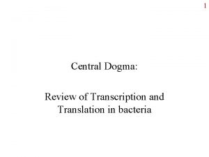 1 Central Dogma Review of Transcription and Translation