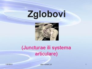 Zglobovi Juncturae ili systema articulare 192022 alen vukeli