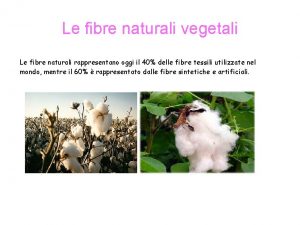Le fibre naturali vegetali Le fibre naturali rappresentano
