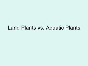 Land Plants vs Aquatic Plants Land Plants Vascular