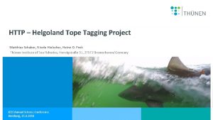 HTTP Helgoland Tope Tagging Project Matthias Schaber Nicole