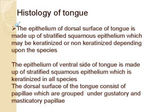 Histology of tongue The epithelium of dorsal surface