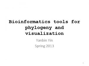 Bioinformatics tools for phylogeny and visualization Yanbin Yin