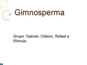 Gimnosperma Grupo Gabriel Odcio Rafael e Rmulo As