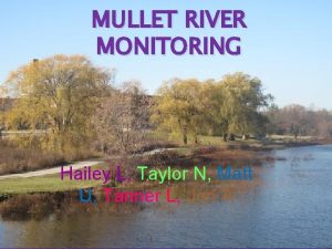 MULLET RIVER MONITORING Hailey L Taylor N Matt
