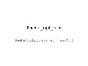 Phenooptrice Brief introduction by Pepijn van Oort Problem