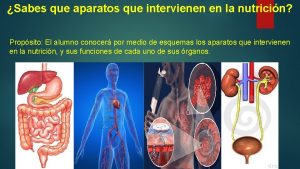 Sabes que aparatos que intervienen en la nutricin