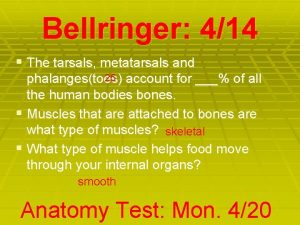 Bellringer 414 The tarsals metatarsals and 25 account