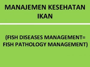 MANAJEMEN KESEHATAN IKAN FISH DISEASES MANAGEMENT FISH PATHOLOGY