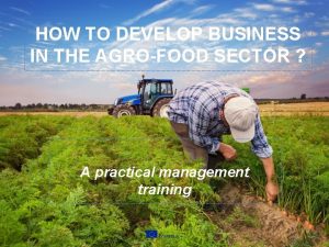 HOW TO DEVELOP BUSINESS IN THE AGROFOOD SECTOR