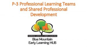 P3 Professional Learning Teams and Shared Professional Development