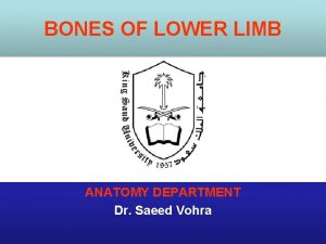 BONES OF LOWER LIMB ANATOMY DEPARTMENT Dr Saeed