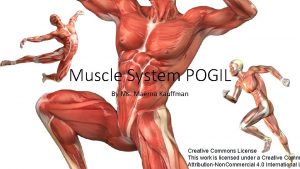 Muscle System POGIL By Ms Maerna Kauffman Creative