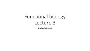 Functional biology Lecture 3 Andleeb Asmat Fatty Acids