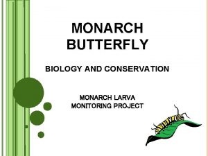 MONARCH BUTTERFLY BIOLOGY AND CONSERVATION MONARCH LARVA MONITORING