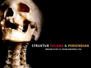 STRUKTUR TULANG PERSENDIAN BIOLOGI XI IPA H FAJAR