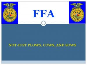 FFA NOT JUST PLOWS COWS AND SOWS What