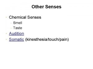 Other Senses Chemical Senses Smell Taste Audition Somatic