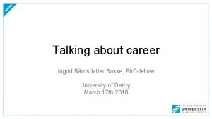 Talking about career Ingrid Brdsdatter Bakke Ph Dfellow